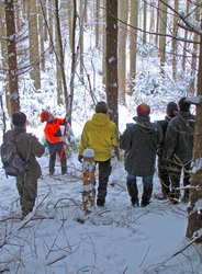 Die Studierenden messen, wie lange es dauert, die Äste eines Baumstammes zu entfernen