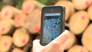 Enormes Einsparpotential: Eine neue App zählt und misst Holz für den Verkauf
