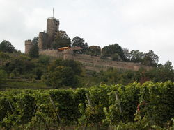 Historische Kulturlandschaft und Denkmalpflege