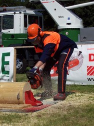 Martin Franz im Wettkampf mit der Kettensäge.