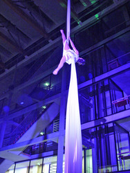 Eine Seilkünstlerin faszinierte rund 500 Gäste in der Niedersächsischen Landesvertret