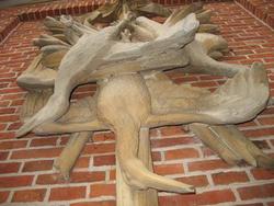 Jagdtrophäe aus Baumberger Kalksandstein am Jagdschloss Clemenswerth in Sögel  (Foto:Rober