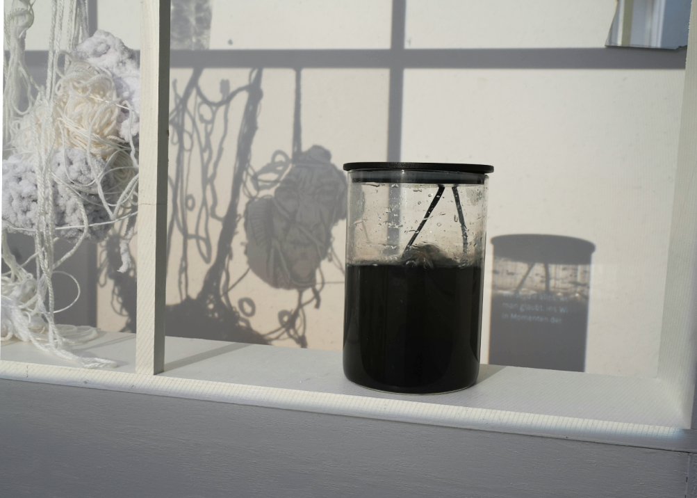 05_Füchsel_Linda_2 - Alaska Fuchs